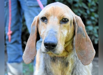 Neville - Abstellgleis - Nein Danke!