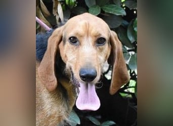 Neville - Abstellgleis - Nein Danke!