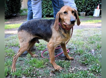 Neville - Abstellgleis - Nein Danke!