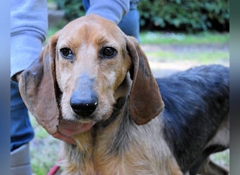 Neville - Abstellgleis - Nein Danke!