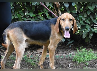 Neville - Abstellgleis - Nein Danke!