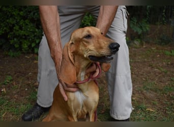 Myles - hofft auf ein warmes Plätzchen, bevor der Winter kommt