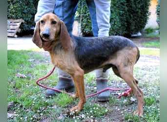 Neville - Abstellgleis - Nein Danke!