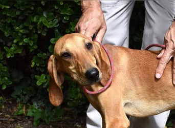 Myles - hofft auf ein warmes Plätzchen, bevor der Winter kommt