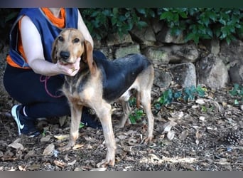 Neville - Abstellgleis - Nein Danke!