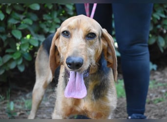 Neville - Abstellgleis - Nein Danke!