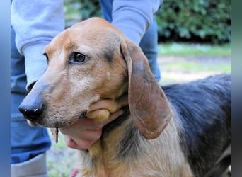 Neville - Abstellgleis - Nein Danke!