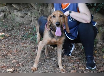 Neville - Abstellgleis - Nein Danke!