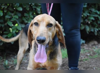 Neville - Abstellgleis - Nein Danke!