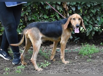 Neville - Abstellgleis - Nein Danke!