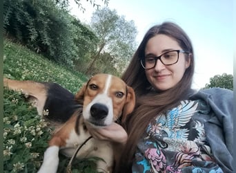 Finn - ein fröhlicher Schatz auf der Suche nach seinem Zuhause