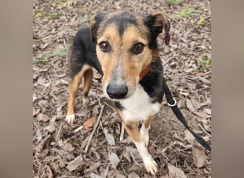 Nica eine gebrochene sanfte Seele