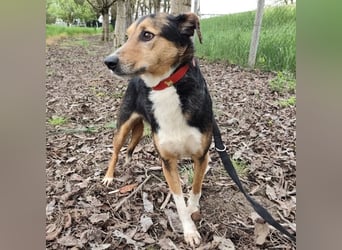 Nica eine gebrochene sanfte Seele