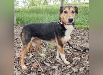 Nica eine gebrochene sanfte Seele