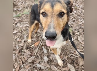 Nica eine gebrochene sanfte Seele