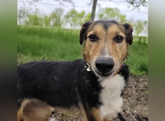 Nica eine gebrochene sanfte Seele