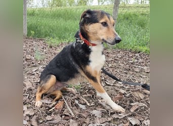 Nica eine gebrochene sanfte Seele