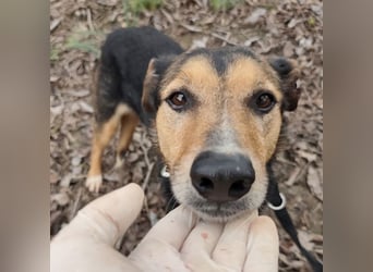 Nica eine gebrochene sanfte Seele