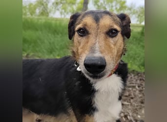 Nica eine gebrochene sanfte Seele