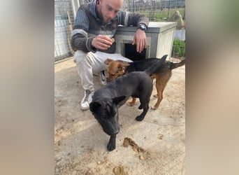 Piggy ist bereit fürs Abenteuer