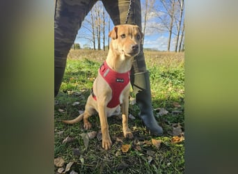 Libby, geboren 06.2025, 41cm sucht ihr Körbchen