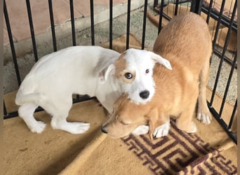 Giovanna: wünscht sich Liebe und Geborgenheit