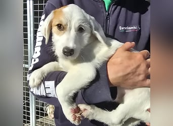 Giovanna: wünscht sich Liebe und Geborgenheit