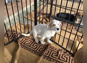 Giovanna: wünscht sich Liebe und Geborgenheit