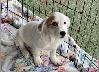 Giovanna: wünscht sich Liebe und Geborgenheit