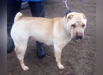 Michelle sucht ihre Familie