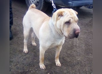 Michelle sucht ihre Familie