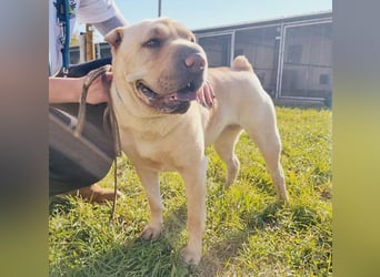 Michelle sucht ihre Familie