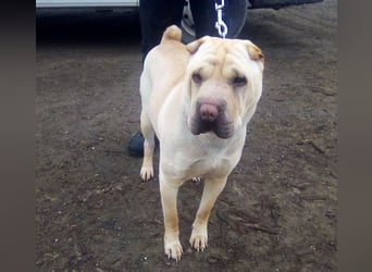 Michelle sucht ihre Familie