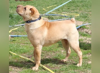 Michelle sucht ein Zuhause