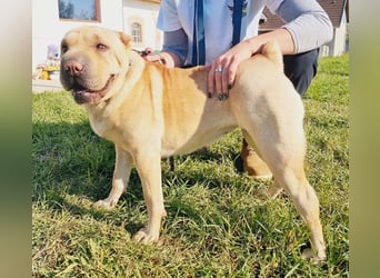 Michelle sucht ein Zuhause