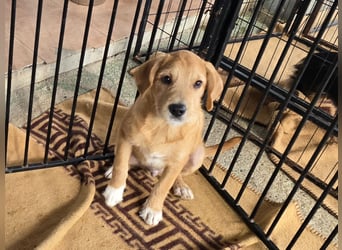 Giovanni: verspielter Lausbub