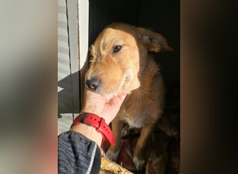 Giovanni: verspielter Lausbub