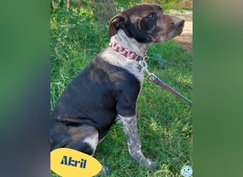 Akril VA, ein echter Sonnenschein Akril VA, ein echter Sonnenschein