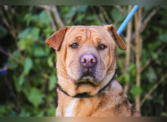 ❣️ G•E•M•M•A ~ will dein Leben bereichern ❣️