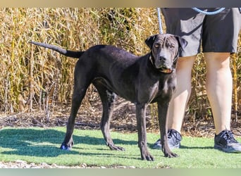 •• J•O•O•M•A •• Sehr Unkompliziert und Super Lieb ❣️