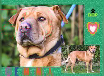 ❣️ G•E•M•M•A ~ will dein Leben bereichern ❣️