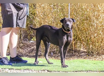 •• J•O•O•M•A •• Sehr Unkompliziert und Super Lieb ❣️