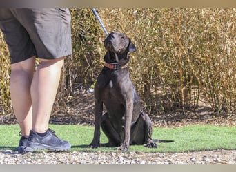 •• J•O•O•M•A •• Sehr Unkompliziert und Super Lieb ❣️