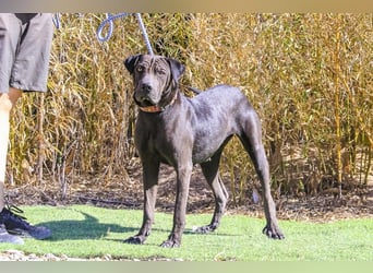 •• J•O•O•M•A •• Sehr Unkompliziert und Super Lieb ❣️