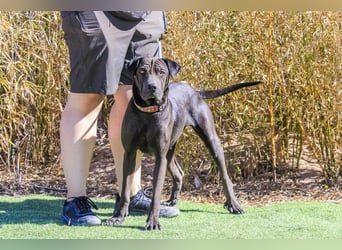 •• J•O•O•M•A •• Sehr Unkompliziert und Super Lieb ❣️