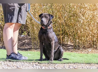 •• J•O•O•M•A •• Sehr Unkompliziert und Super Lieb ❣️