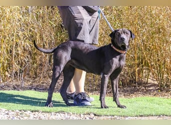 •• J•O•O•M•A •• Sehr Unkompliziert und Super Lieb ❣️