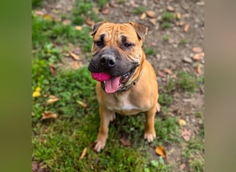 Moncho sucht Pflege- oder Endstelle