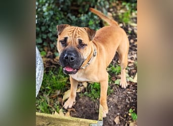 Moncho sucht Pflege- oder Endstelle