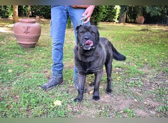 Morgan - wird hoffentlich alles besser